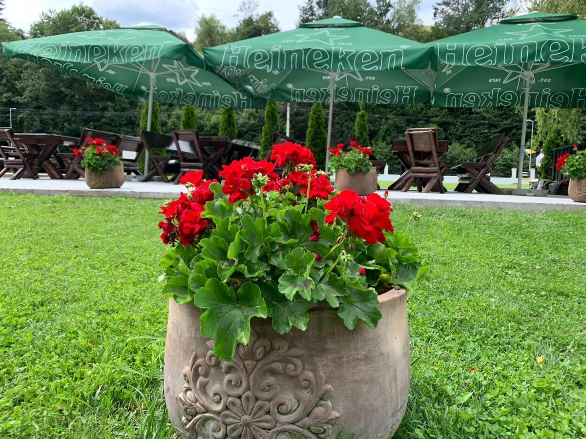 Flori De Mar Hotel Poiana Mărului Exterior foto
